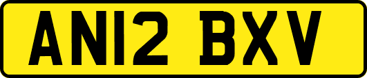 AN12BXV
