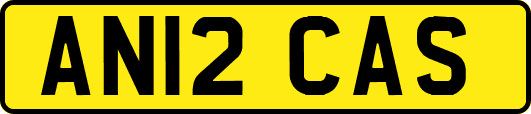 AN12CAS