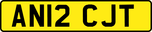 AN12CJT