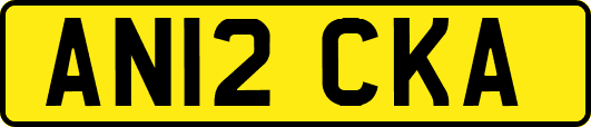 AN12CKA