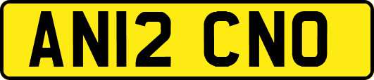 AN12CNO