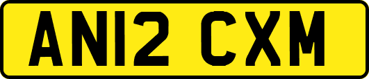 AN12CXM