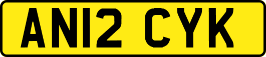 AN12CYK