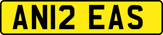 AN12EAS