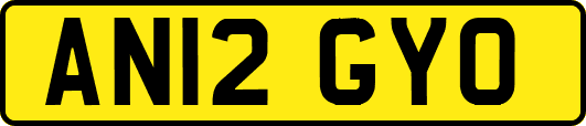 AN12GYO
