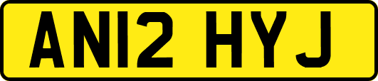 AN12HYJ