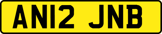 AN12JNB