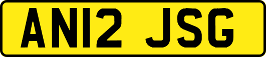 AN12JSG