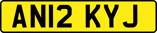 AN12KYJ
