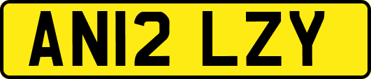 AN12LZY