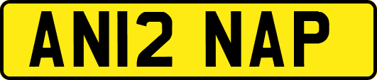 AN12NAP