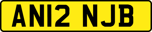 AN12NJB