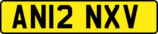 AN12NXV
