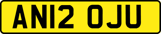 AN12OJU