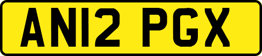 AN12PGX
