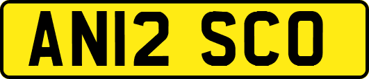 AN12SCO