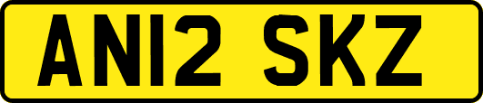 AN12SKZ