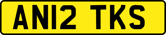 AN12TKS
