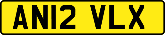 AN12VLX