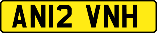 AN12VNH