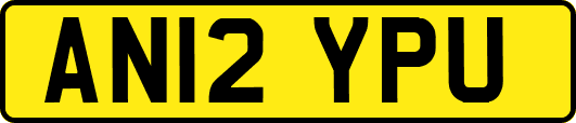 AN12YPU