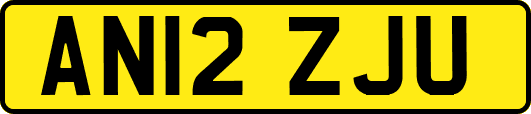 AN12ZJU