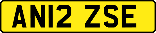 AN12ZSE
