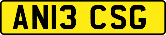 AN13CSG