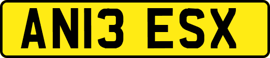 AN13ESX