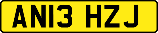 AN13HZJ