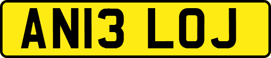 AN13LOJ
