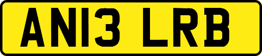 AN13LRB