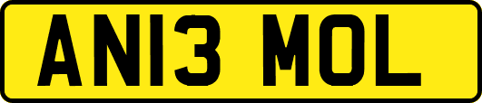 AN13MOL