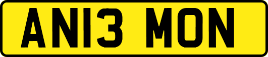 AN13MON
