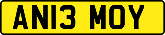 AN13MOY