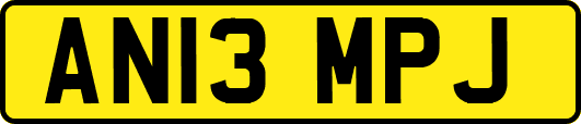 AN13MPJ
