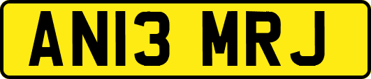 AN13MRJ