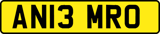 AN13MRO