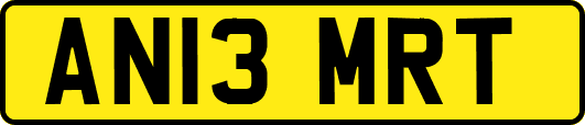 AN13MRT