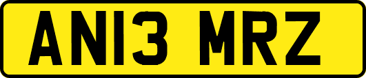 AN13MRZ