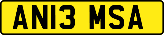 AN13MSA