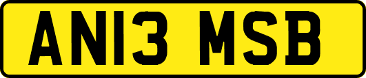 AN13MSB