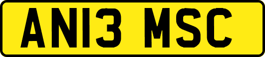 AN13MSC