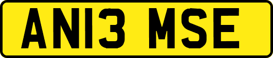 AN13MSE