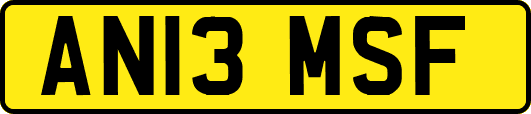 AN13MSF