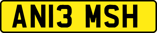 AN13MSH
