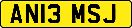 AN13MSJ