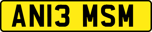 AN13MSM