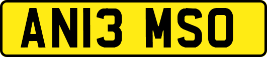 AN13MSO