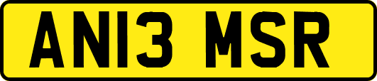 AN13MSR